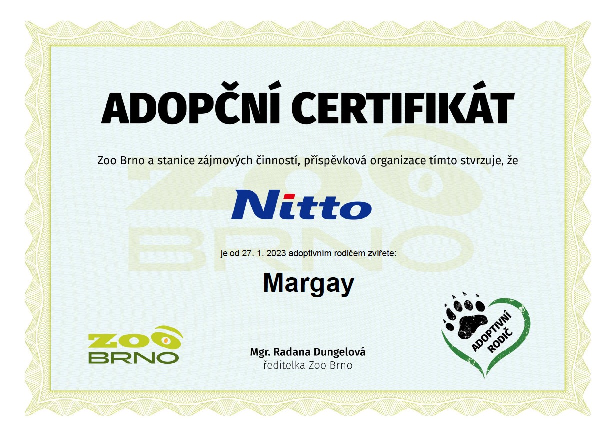 certifikát